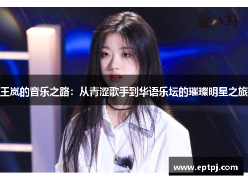 王岚的音乐之路：从青涩歌手到华语乐坛的璀璨明星之旅